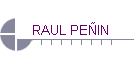 RAUL PEIN