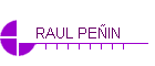 RAUL PEIN