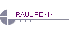 RAUL PEIN