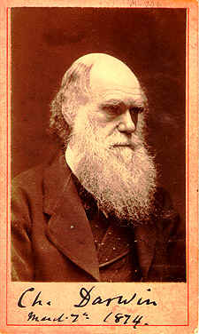 Darwin